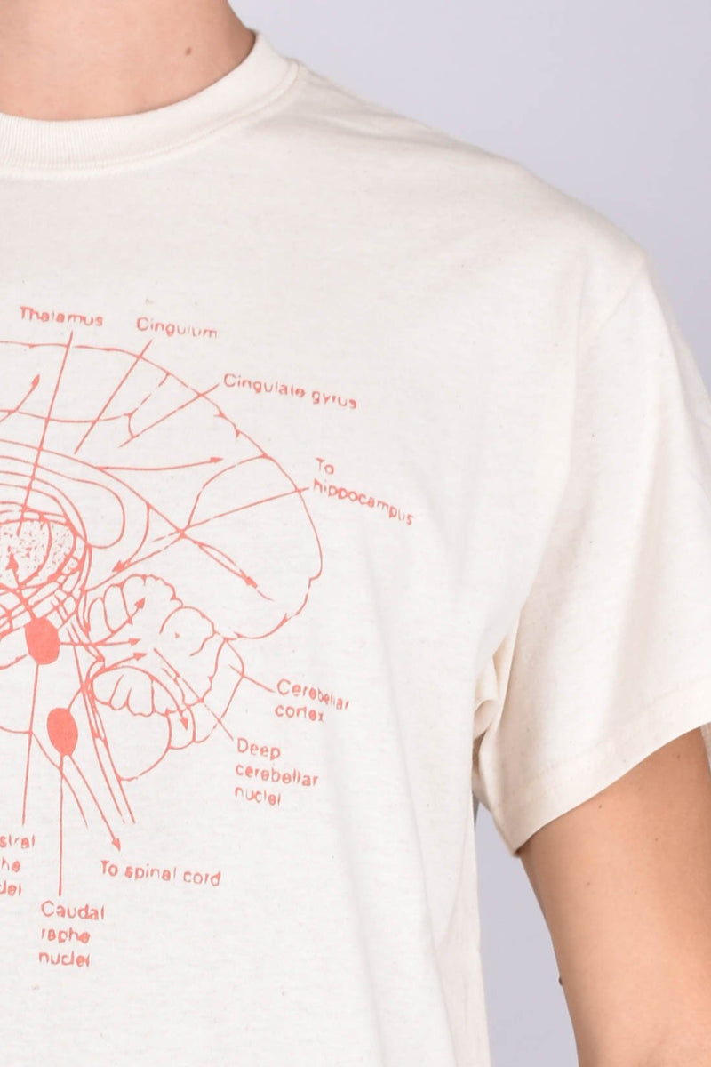 DANILO PAURA T-SHIRT GIROCOLLO BRAIN