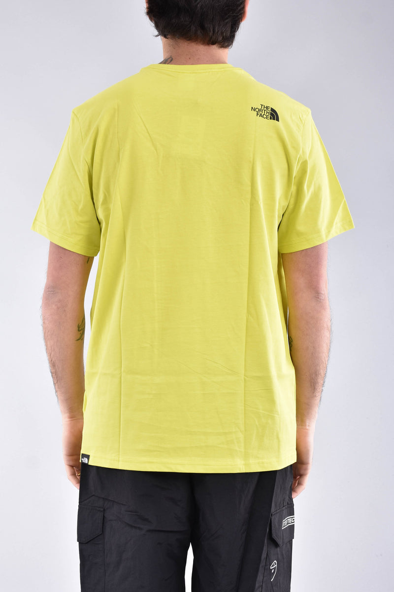 THE NORTH FACE T-shirt standard in cotone